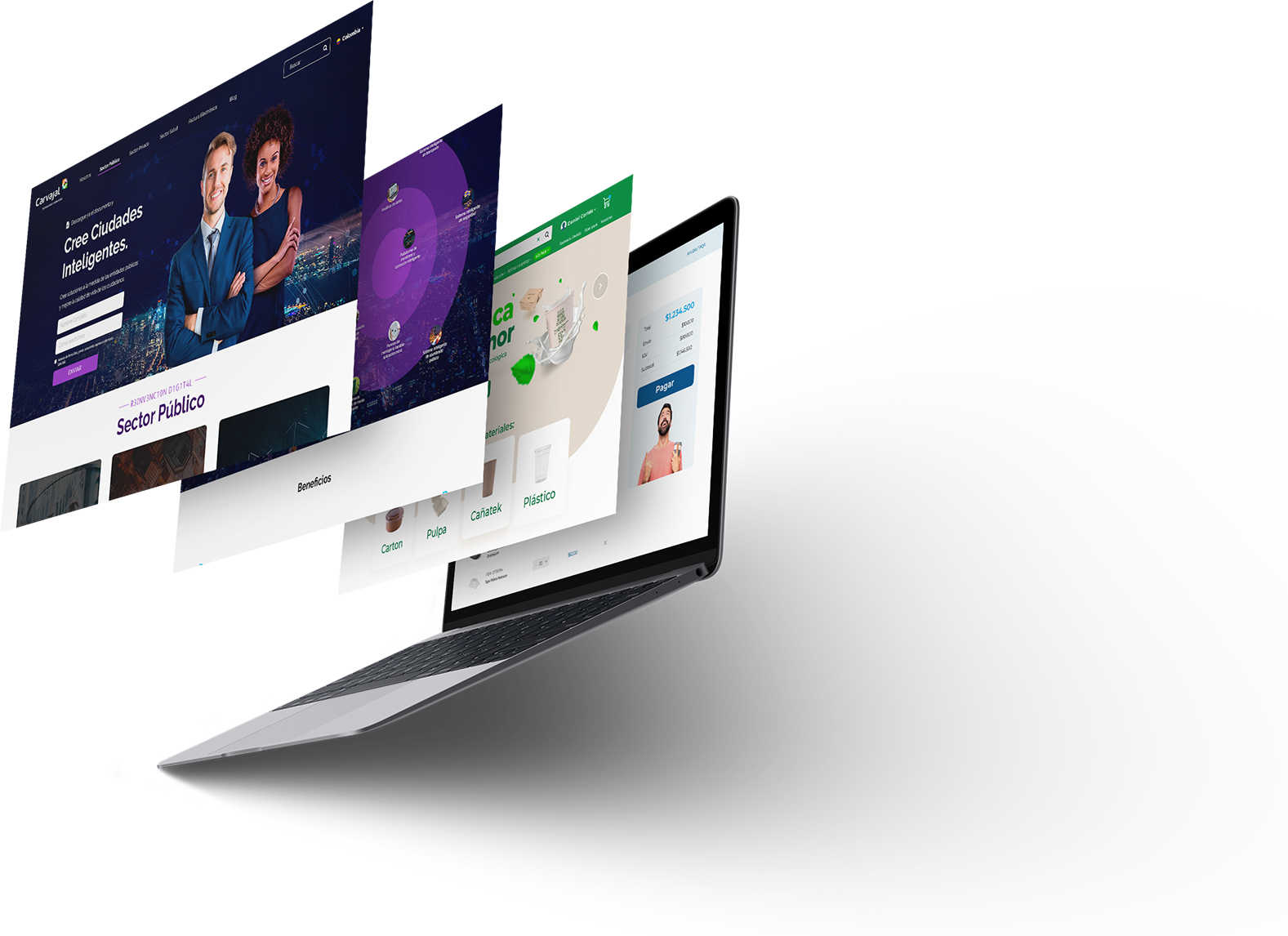 grafica_websites_1 grafica_websites_1